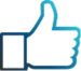 Cyan silhouette icon of a thumbs up representing IT Compliance Services